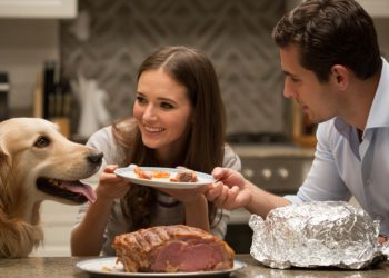 Woman Feeds Dog A Quarter Of Roast Boyfriend Cooked, Then Acts Shocked When He Breaks Up With Her