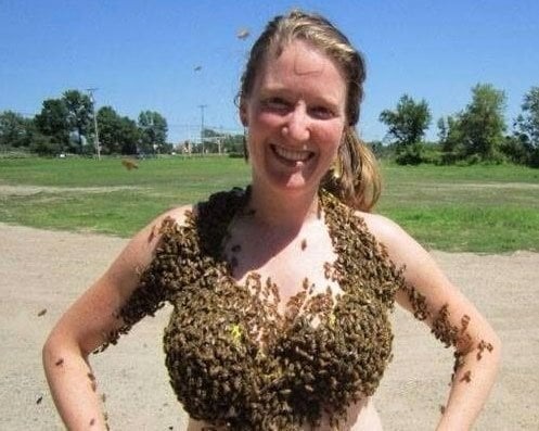 43 Pictures That Prove Bees Are the Chaotic Comedians of Nature