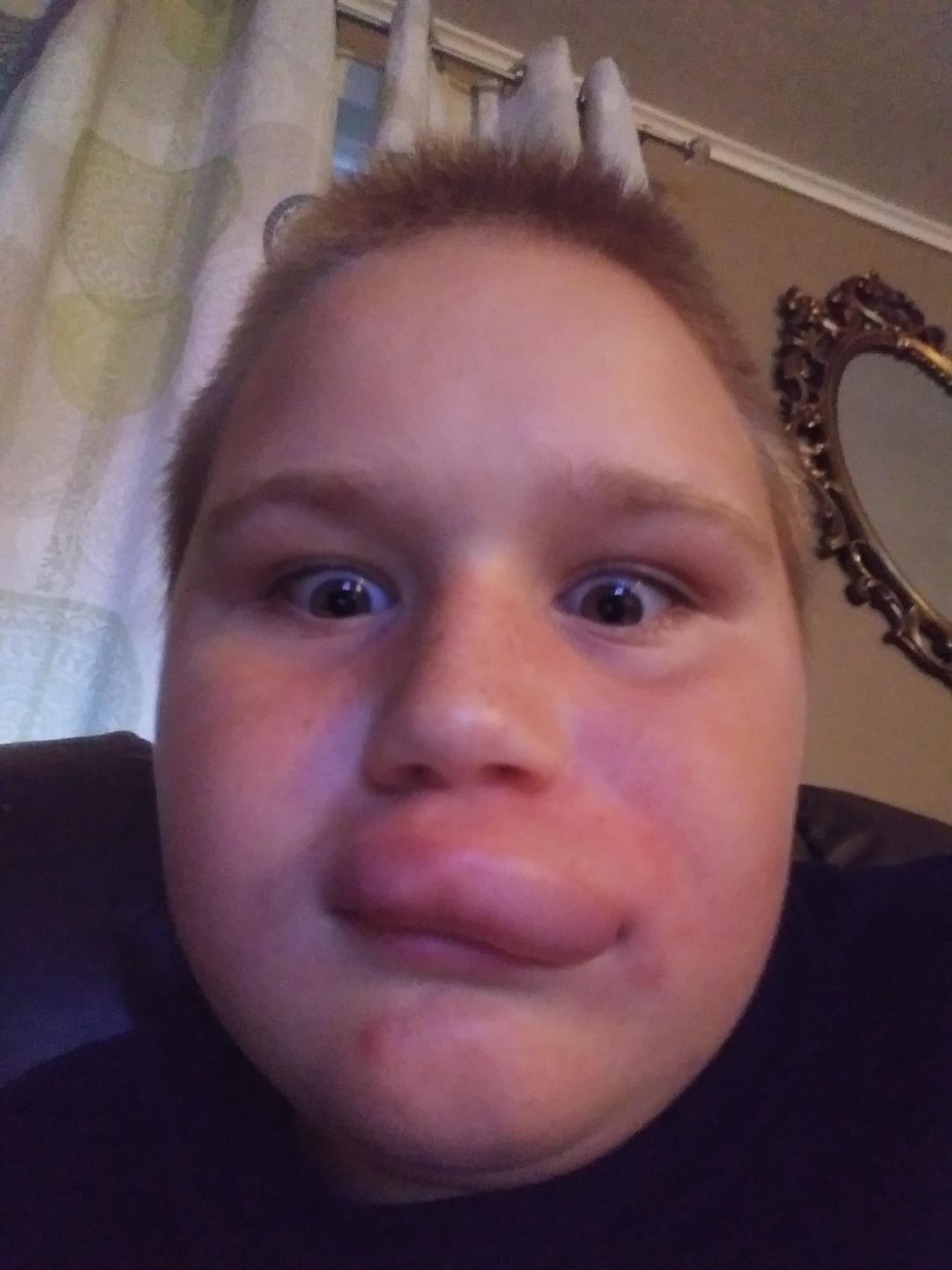 43 Pictures That Prove Bees Are the Chaotic Comedians of Nature