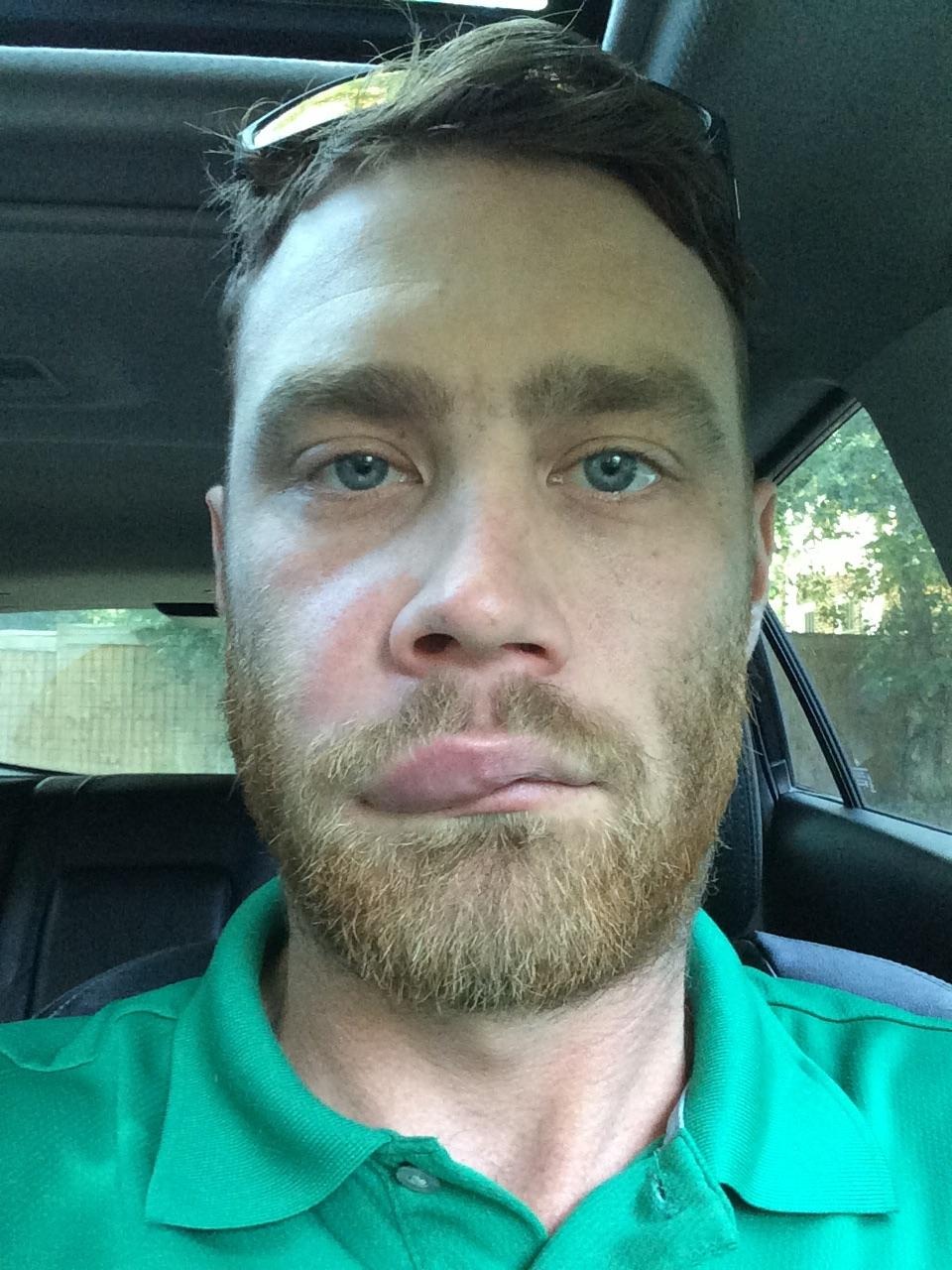 43 Pictures That Prove Bees Are the Chaotic Comedians of Nature