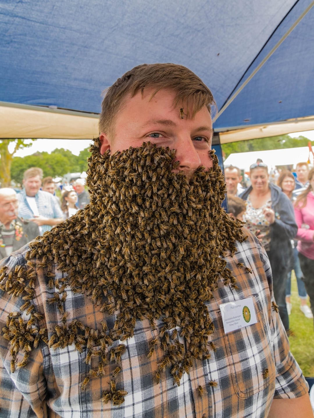 43 Pictures That Prove Bees Are the Chaotic Comedians of Nature