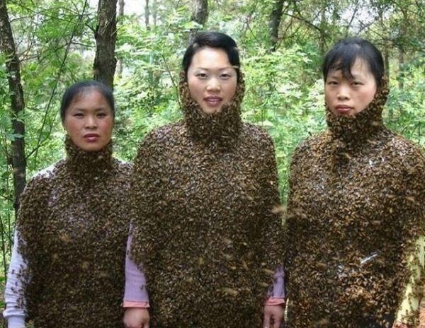 43 Pictures That Prove Bees Are the Chaotic Comedians of Nature