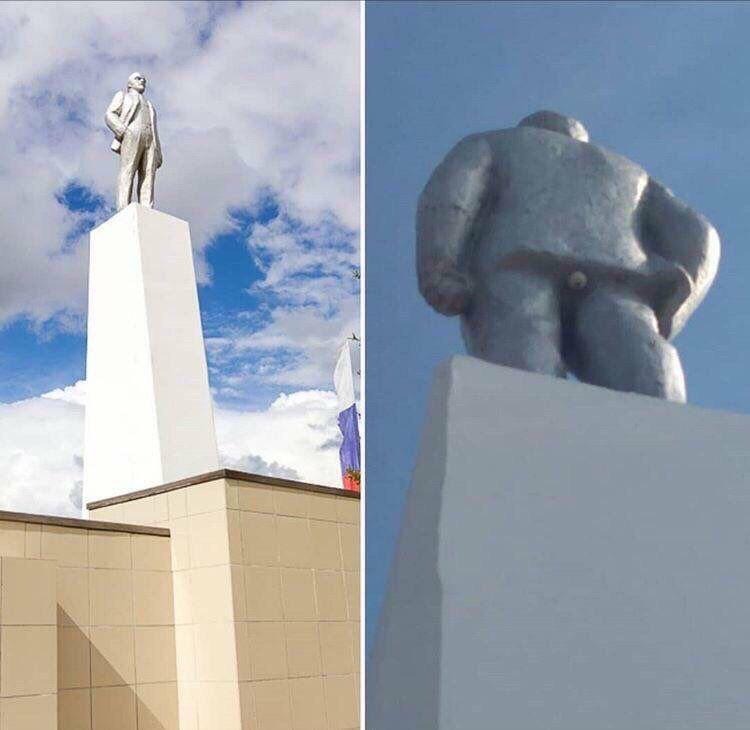 43 Pictures That Prove Bees Are the Chaotic Comedians of Nature