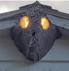 43 Pictures That Prove Bees Are the Chaotic Comedians of Nature