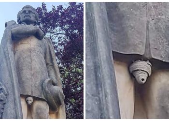 43 Pictures That Prove Bees Are the Chaotic Comedians of Nature