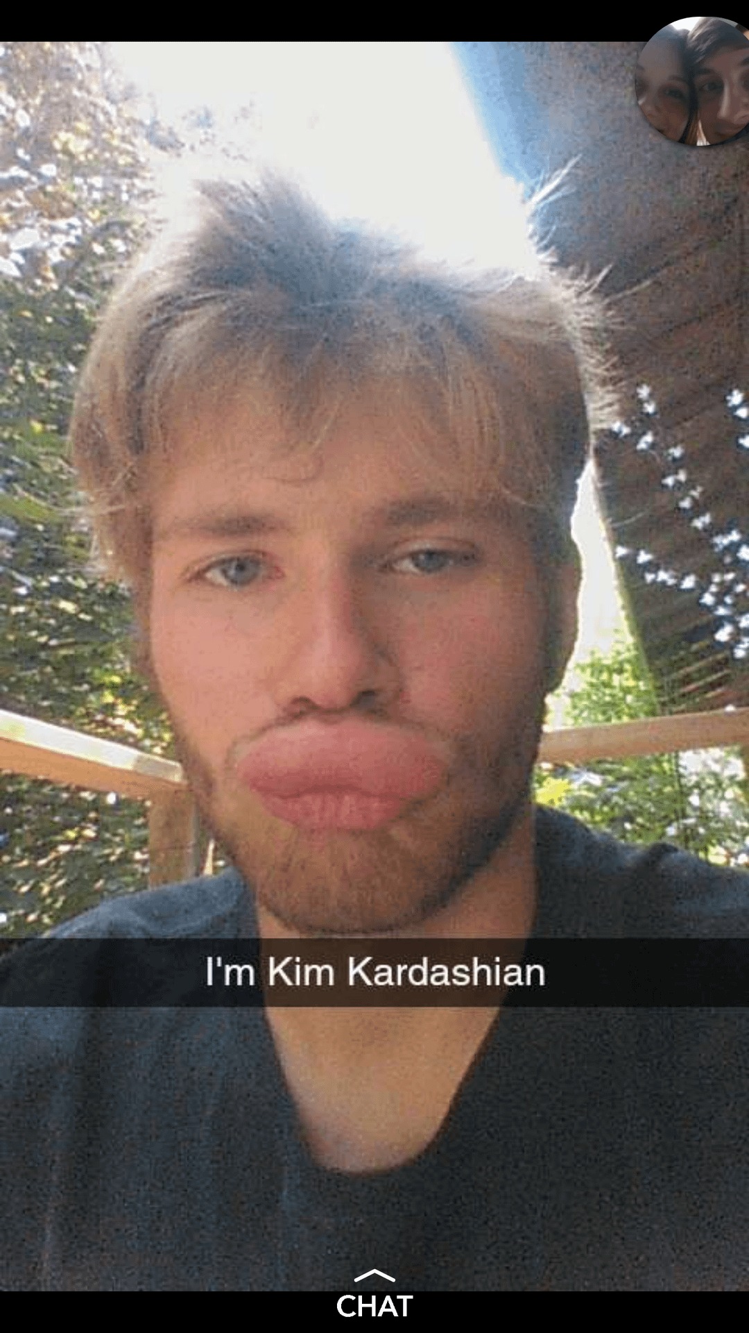 43 Pictures That Prove Bees Are the Chaotic Comedians of Nature