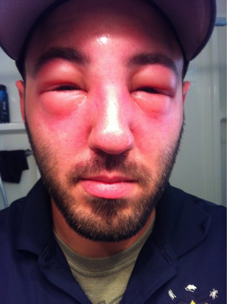 43 Pictures That Prove Bees Are the Chaotic Comedians of Nature