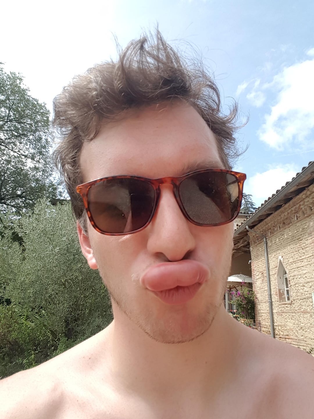 43 Pictures That Prove Bees Are the Chaotic Comedians of Nature