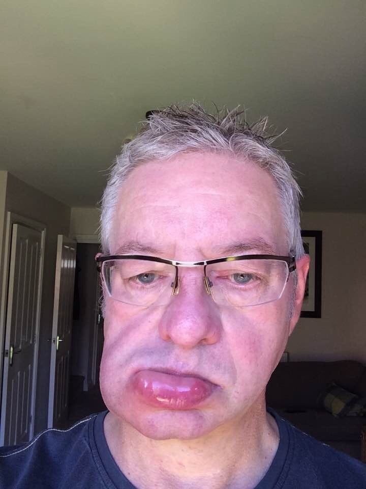 43 Pictures That Prove Bees Are the Chaotic Comedians of Nature