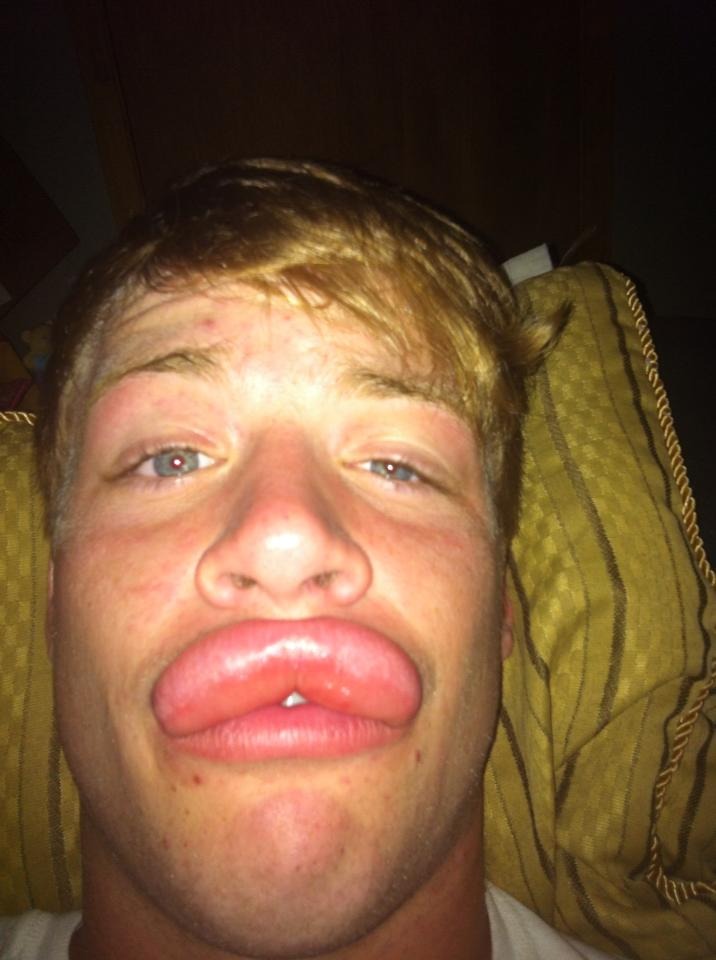 43 Pictures That Prove Bees Are the Chaotic Comedians of Nature