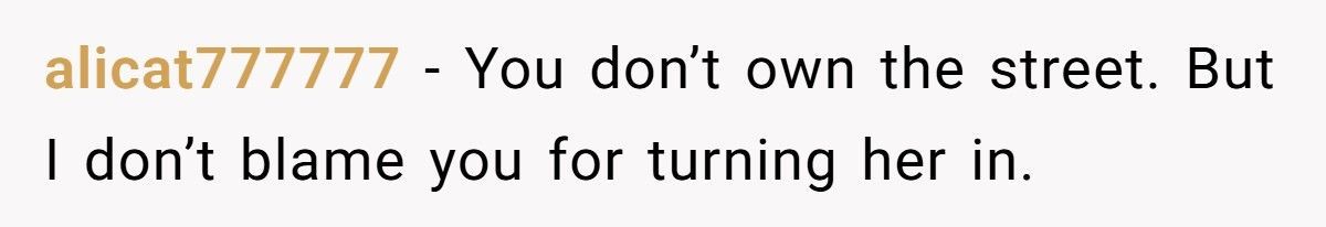 Neighbor Parks In Front Of His House Every Night, Loses Illegal Airbnb Income Instead