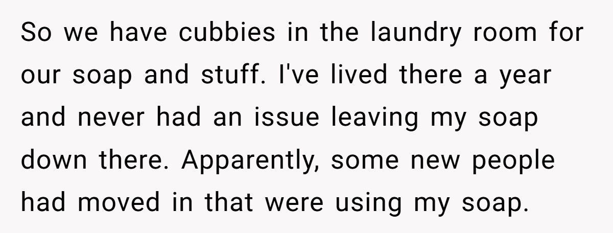 New Neighbors Stole His Laundry Soap, So He “Refilled” It With Dye And Bleach