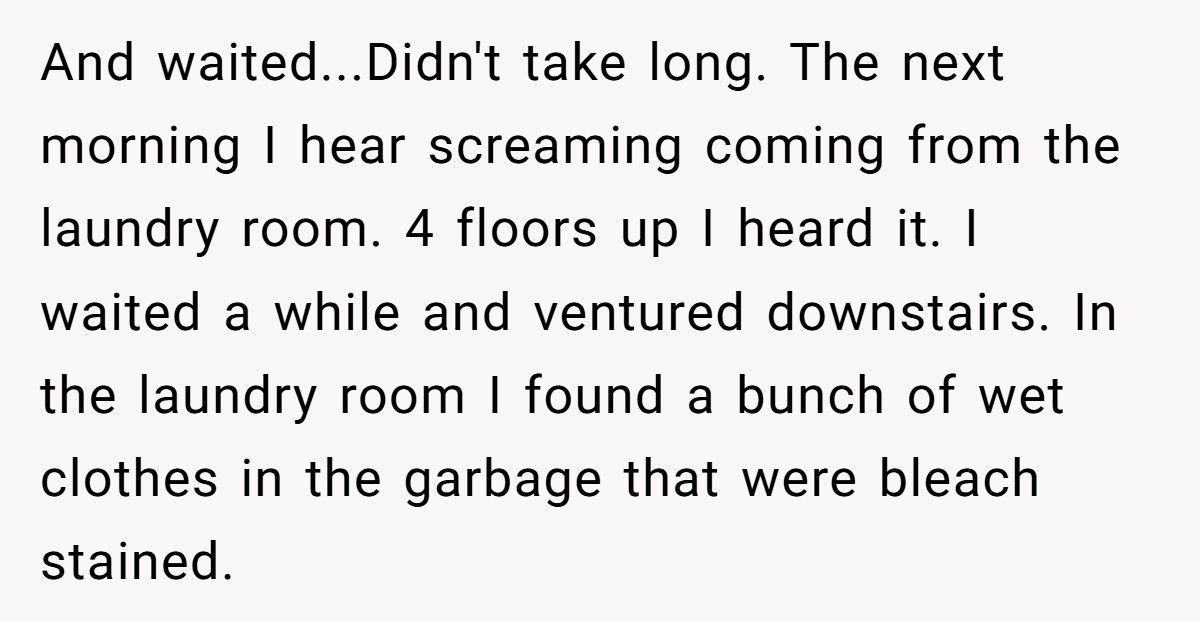 New Neighbors Stole His Laundry Soap, So He “Refilled” It With Dye And Bleach