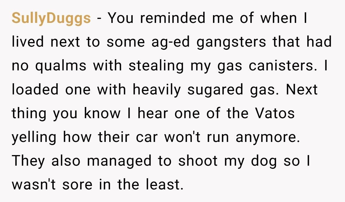 New Neighbors Stole His Laundry Soap, So He “Refilled” It With Dye And Bleach