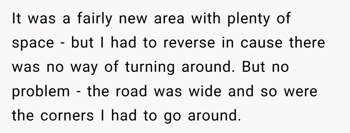 Guy Screams At Delivery Driver For “Blocking The Road”, Turns Out The Package Was His