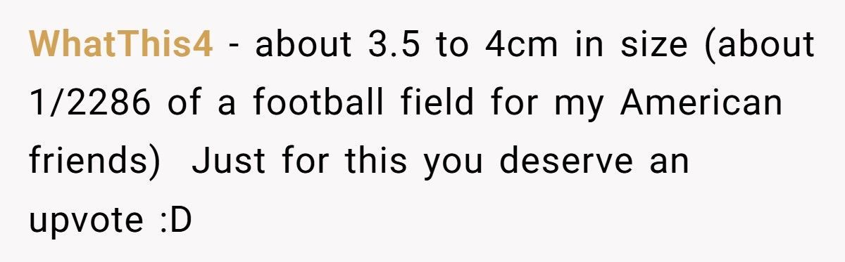 Kid Outsmarts Smug Shopper After He Accuses Him Of Skimping On Samosas