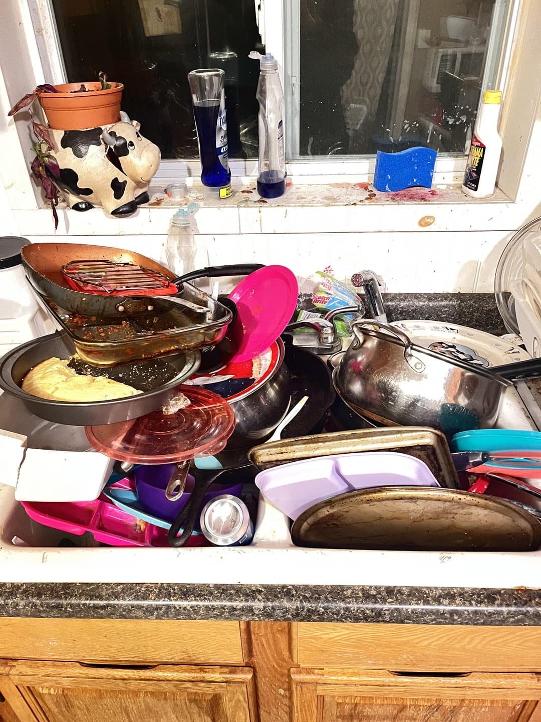 40 Photos That Prove Roommates Are The Real Test Of Human Endurance