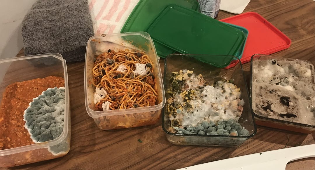 40 Photos That Prove Roommates Are The Real Test Of Human Endurance