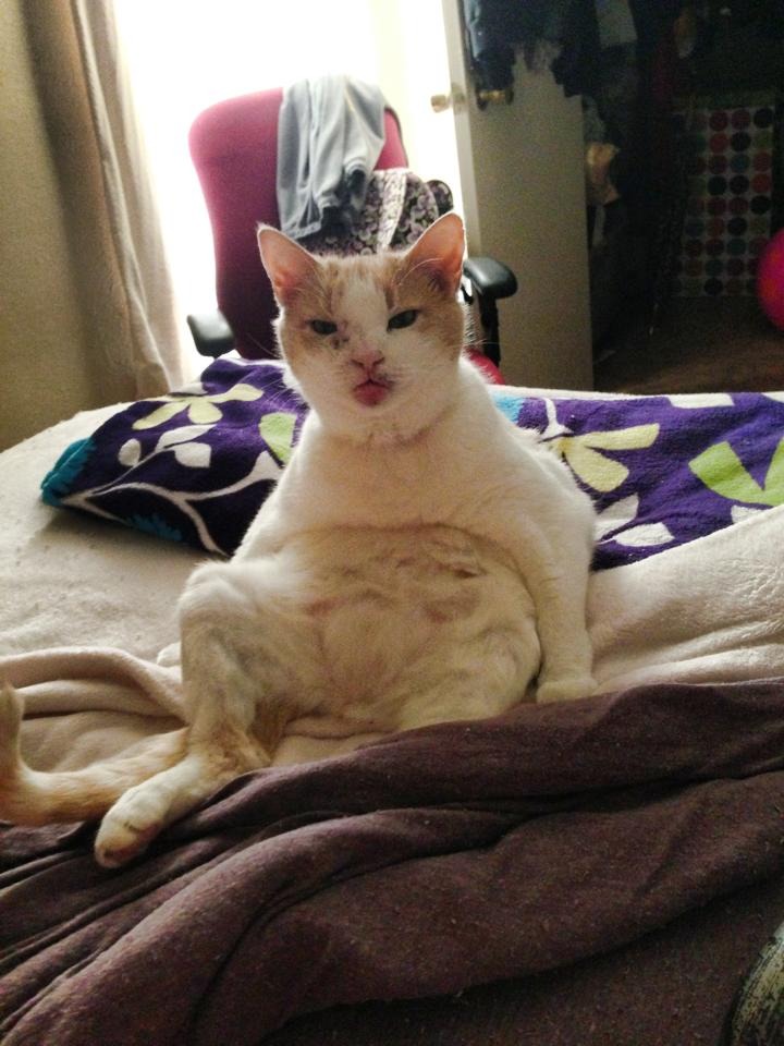 40 Photos That Prove Roommates Are The Real Test Of Human Endurance