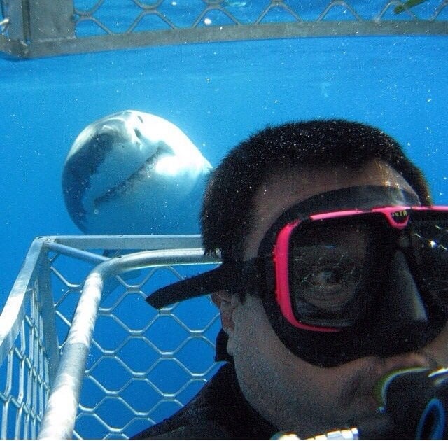 45 Hilarious Photobombs That Ruined (or Perfected) the Moment