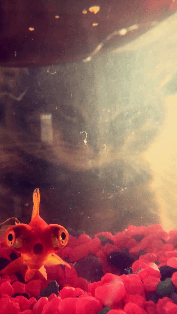 45 Hilarious Photobombs That Ruined (or Perfected) the Moment