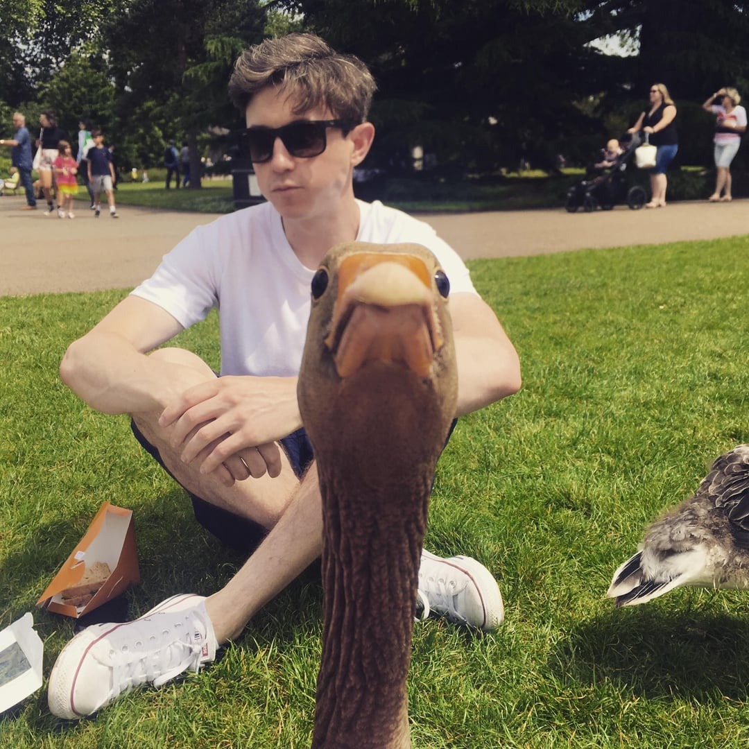 45 Hilarious Photobombs That Ruined (or Perfected) the Moment