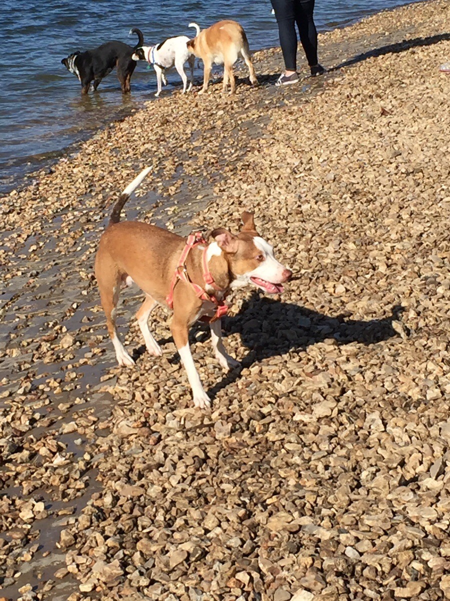 45 Hilarious Photobombs That Ruined (or Perfected) the Moment