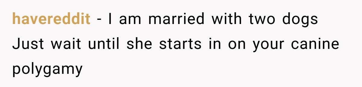 Woman Says He’s ‘Not British Enough’, So He Turns Into The Most British Man Alive