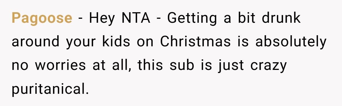 Mom Furious After Ex Gets Drunk At Family Christmas, Says He Wasn’t Responsible That Day