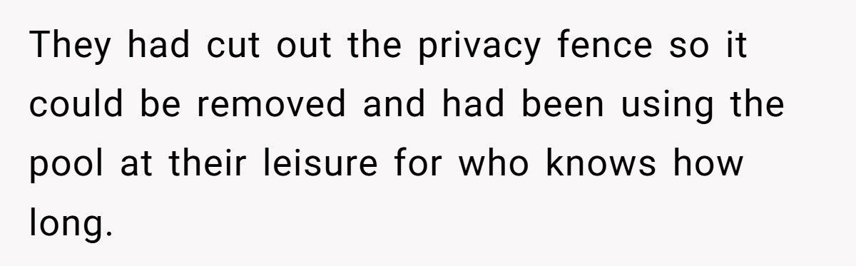 New Homeowner Catches Neighbors Using His Pool And Driveway, So He Makes Them Pay