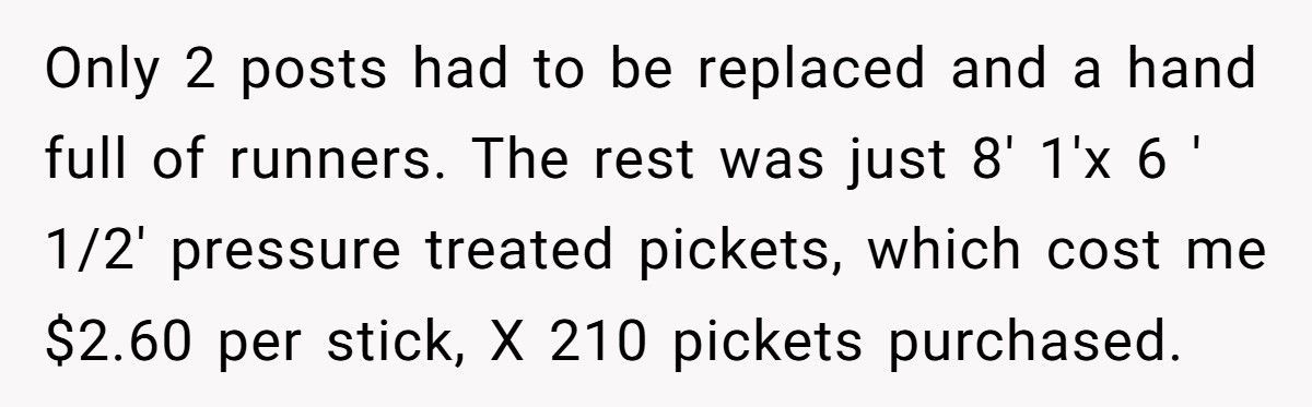 New Homeowner Catches Neighbors Using His Pool And Driveway, So He Makes Them Pay