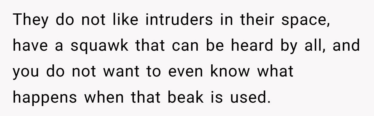 New Homeowner Catches Neighbors Using His Pool And Driveway, So He Makes Them Pay
