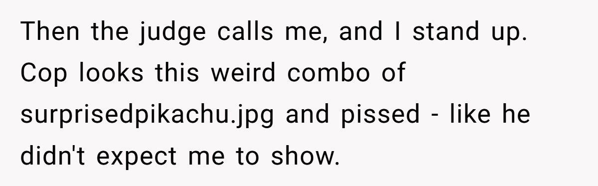 Cop Tries To Ruin Injured Woman’s Life After Crash, Stranger Shows Up In Court And Turns The Tables