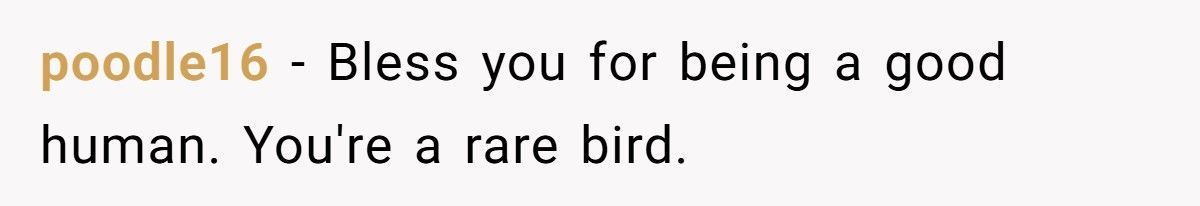 Cop Tries To Ruin Injured Woman’s Life After Crash, Stranger Shows Up In Court And Turns The Tables
