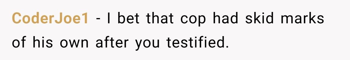 Cop Tries To Ruin Injured Woman’s Life After Crash, Stranger Shows Up In Court And Turns The Tables