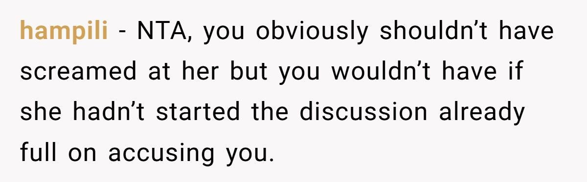 Woman Buys $100 Chair For Her Sister, Sister Accuses Her Of Calling Her Fat