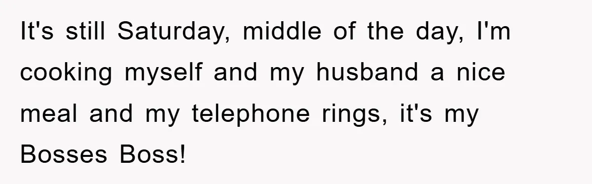 It's still Saturday, middle of the day, I'm cooking myself and my husband a nice meal and my telephone rings, it's my Bosses Boss!