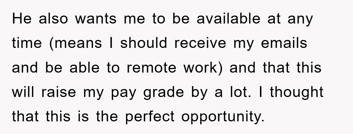 He also wants me to be available at any time (means I should receive my emails and be able to remote work) and that this will raise my pay grade...