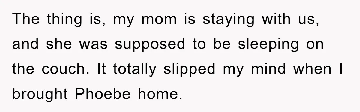 The thing is, my mom is staying with us, and she was supposed to be sleeping on the couch. It totally slipped my mind when I brought Phoebe home.