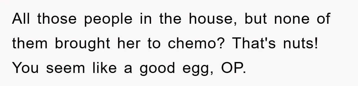 All those people in the house, but none of them brought her to chemo? That's nuts! You seem like a good egg, OP.
