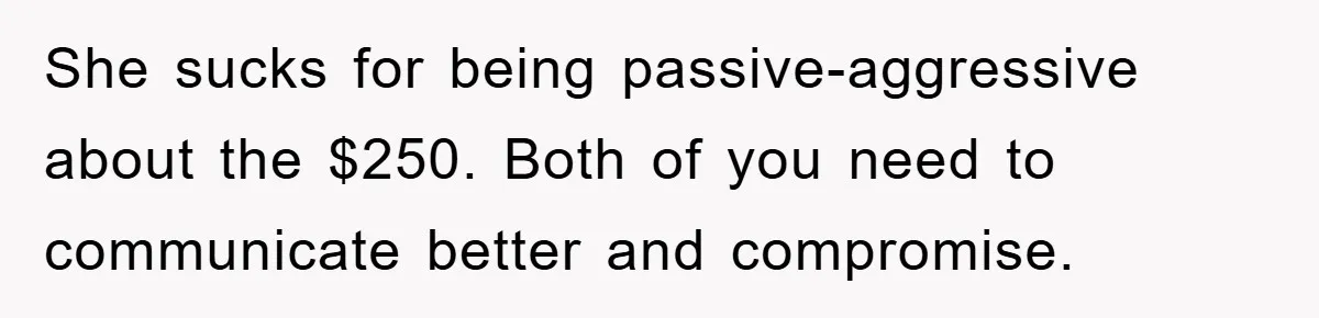 She sucks for being passive-aggressive about the $250. Both of you need to communicate better and compromise.