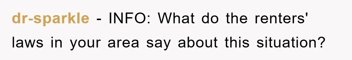 dr-sparkle − INFO: What do the renters' laws in your area say about this situation?
