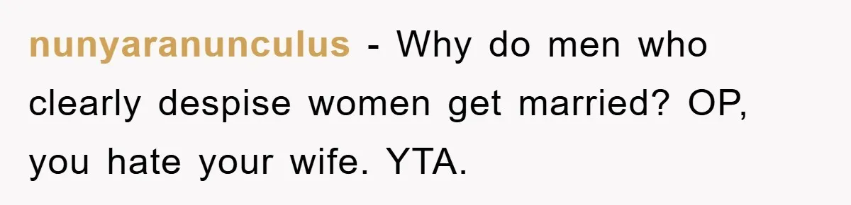 nunyaranunculus − Why do men who clearly despise women get married? OP, you hate your wife. YTA.