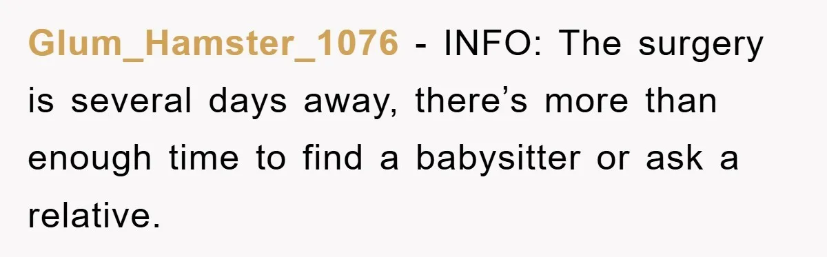 Glum_Hamster_1076 − INFO: The surgery is several days away, there’s more than enough time to find a babysitter or ask a relative.