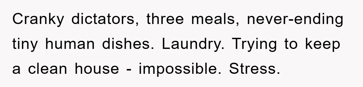 Cranky dictators, three meals, never-ending tiny human dishes. Laundry. Trying to keep a clean house - impossible. Stress.
