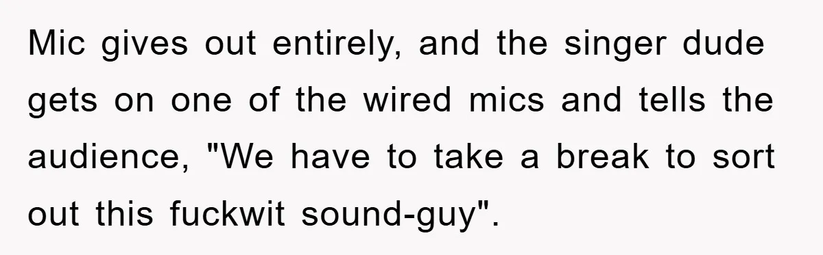 Mic gives out entirely, and the singer dude gets on one of the wired mics and tells the audience, "We have to take a break to sort out this fuckwit...