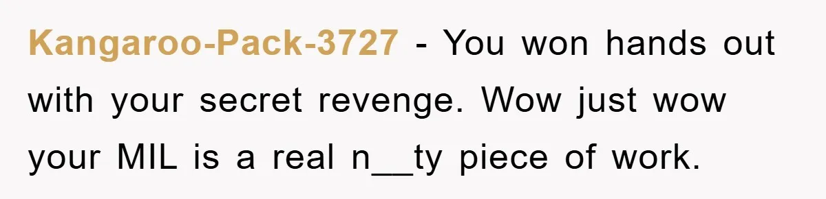 Kangaroo-Pack-3727 − You won hands out with your secret revenge. Wow just wow your MIL is a real n__ty piece of work.