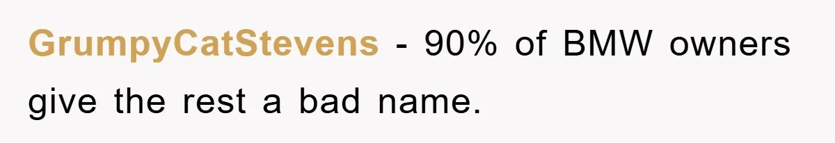GrumpyCatStevens − 90% of BMW owners give the rest a bad name.