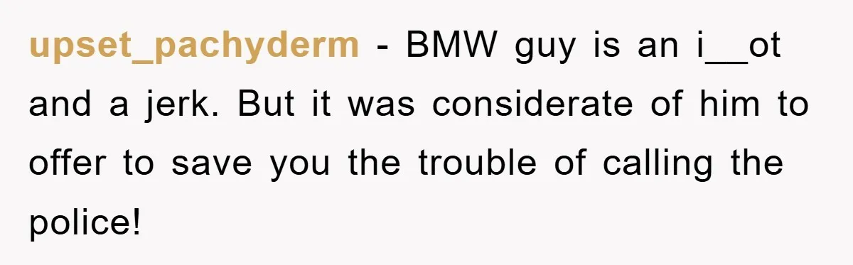 upset_pachyderm − BMW guy is an i__ot and a jerk. But it was considerate of him to offer to save you the trouble of calling the police!