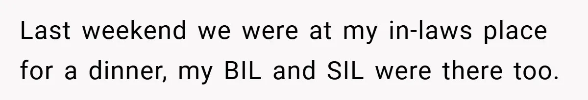 Last weekend we were at my in-laws place for a dinner, my BIL and SIL were there too.